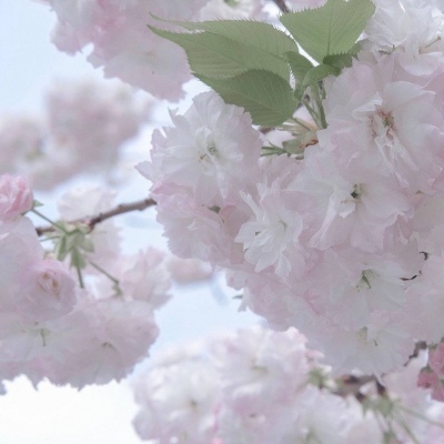 Furry插画故事感营造福瑞交流群